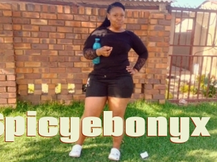 Spicyebonyx