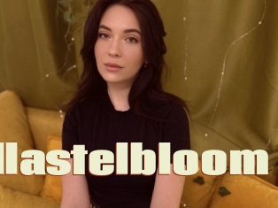 Stellastelbloom