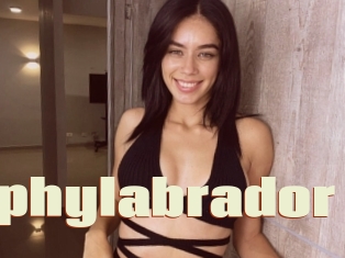 Stephylabrador