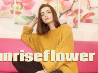 Sunriseflower