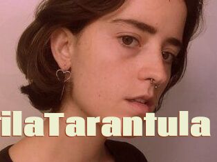 TerentilaTarantula