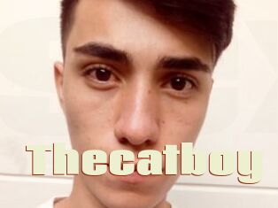Thecatboy