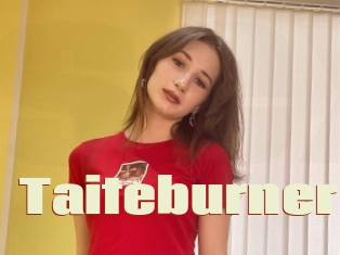 Taiteburner