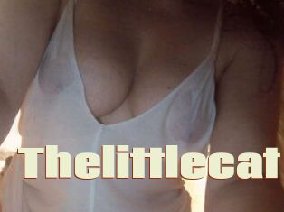 Thelittlecat
