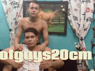 Twohotguys20cm