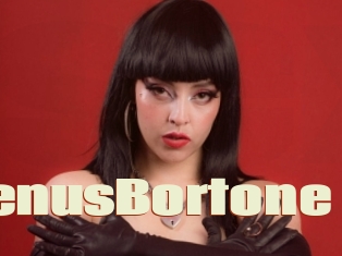 VenusBortone