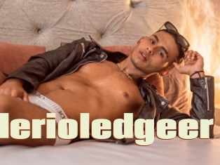 Valerioledgeer