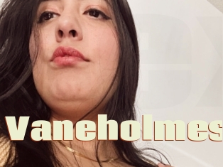 Vaneholmes