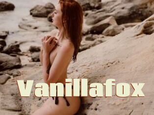 Vanillafox