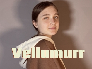Vellumurr