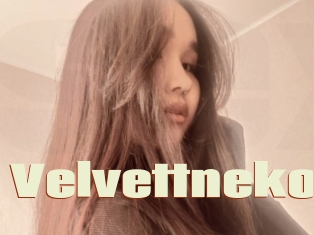 Velvettneko
