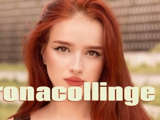 Veronacollinge