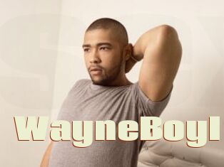 WayneBoyI