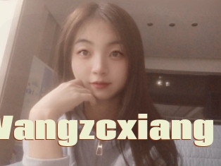 Wangzcxiang