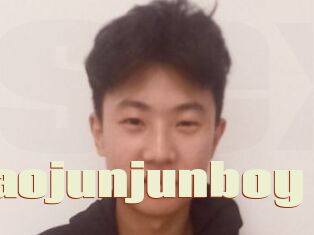 Xiaojunjunboy